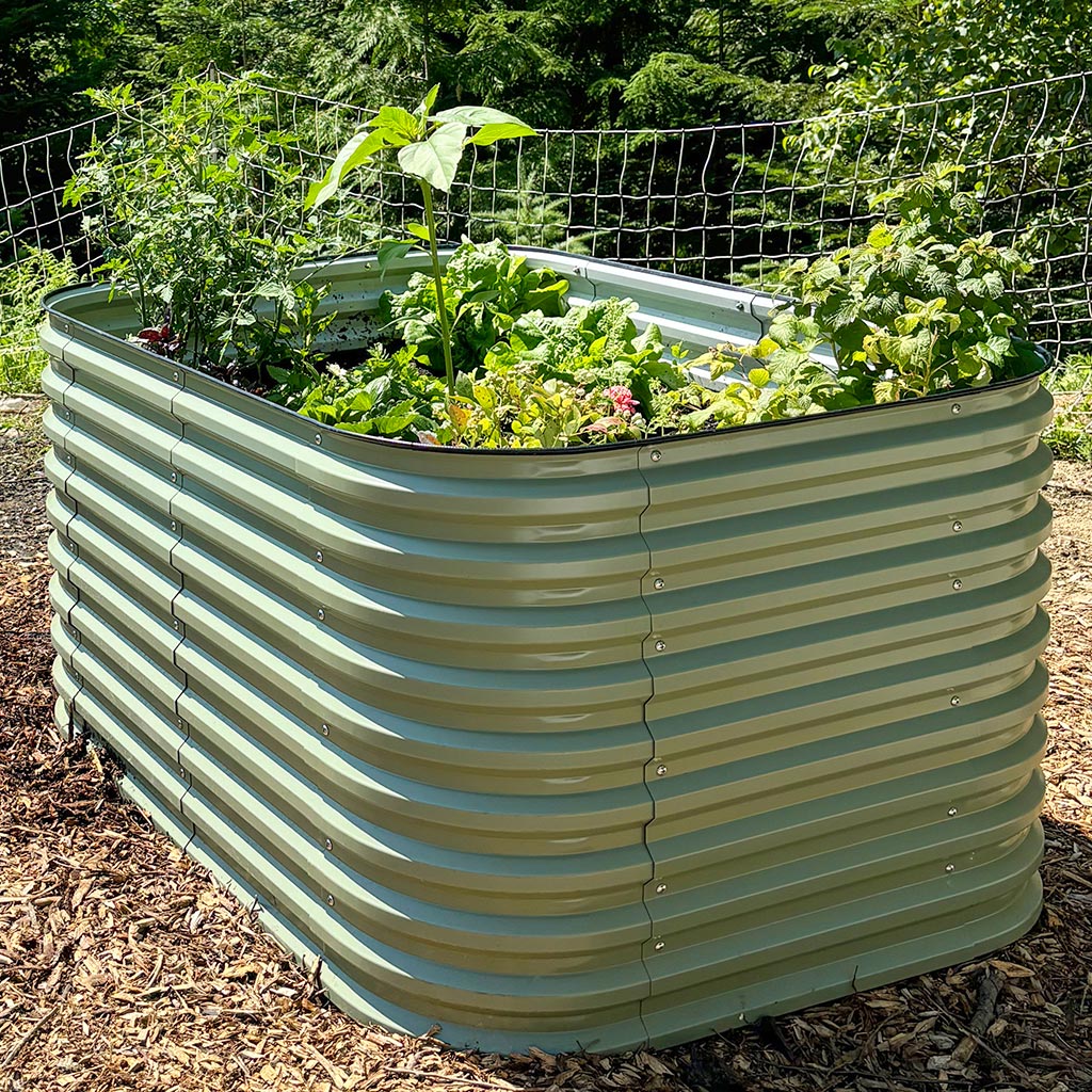 32 raised garden bed-Vegega