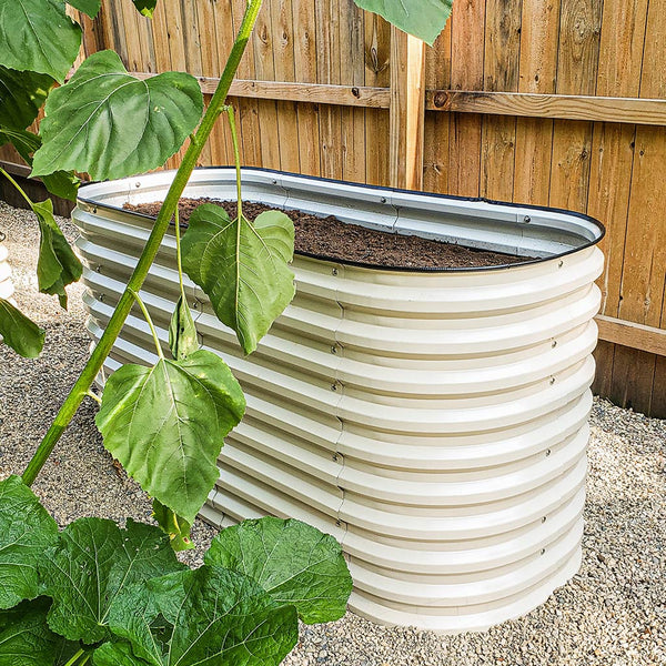 growing tomatoes in a galvanized flower bed-Vegega