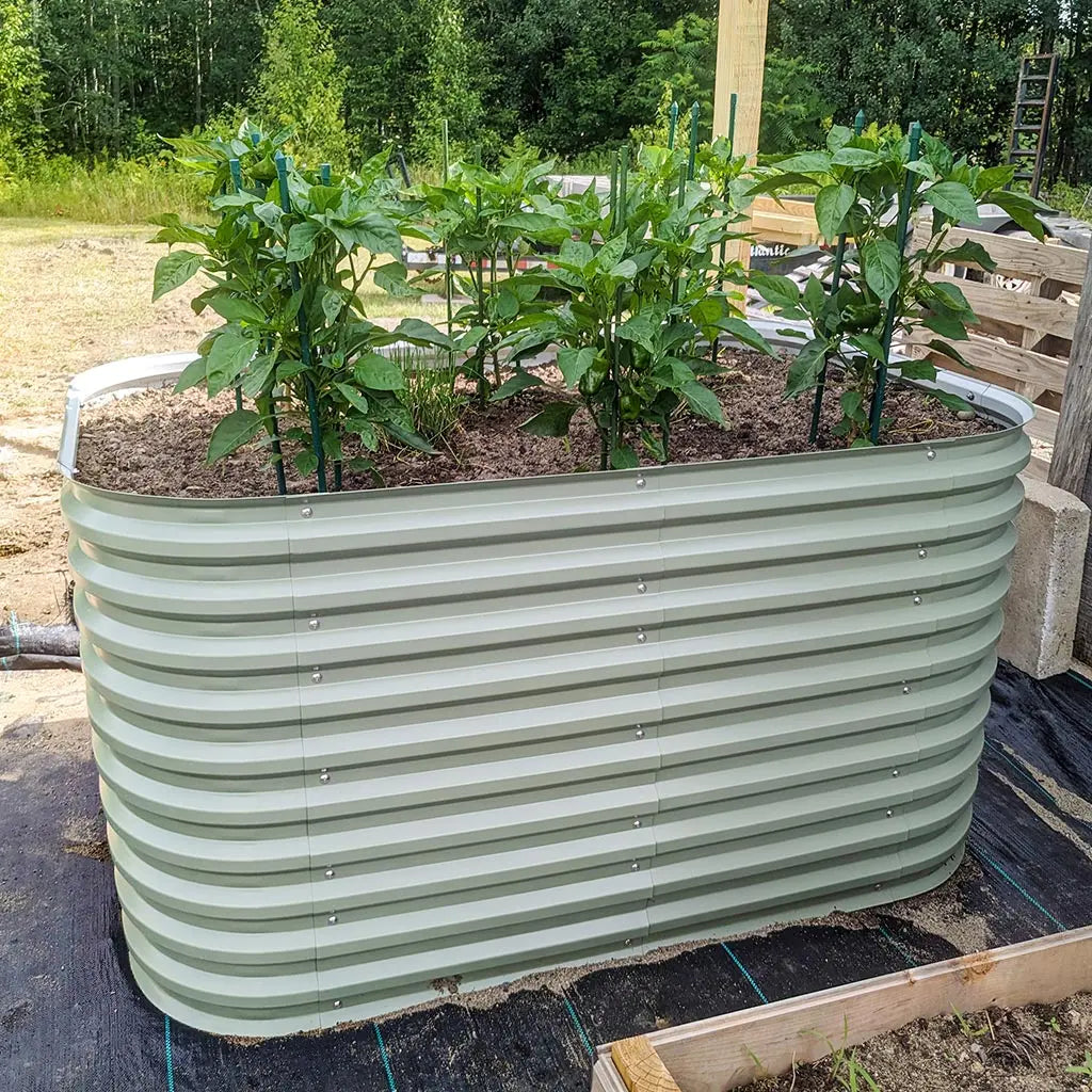 white 32 raised garden bed growing peppers