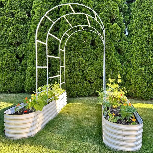 arched trellis installed on two metal raised beds-Vegega