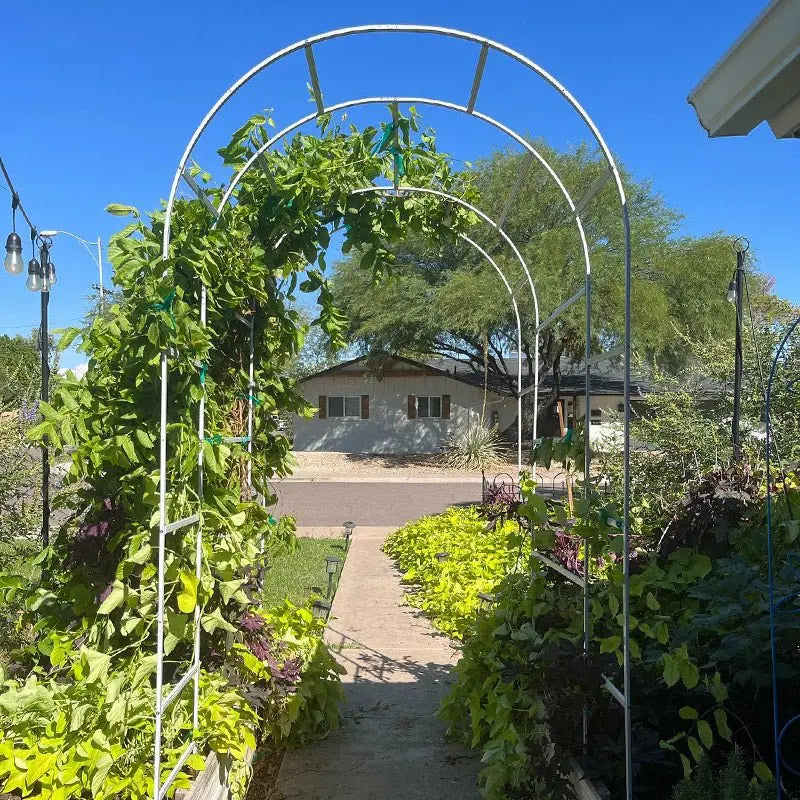 garden trellis installed on metal beds-Vegega