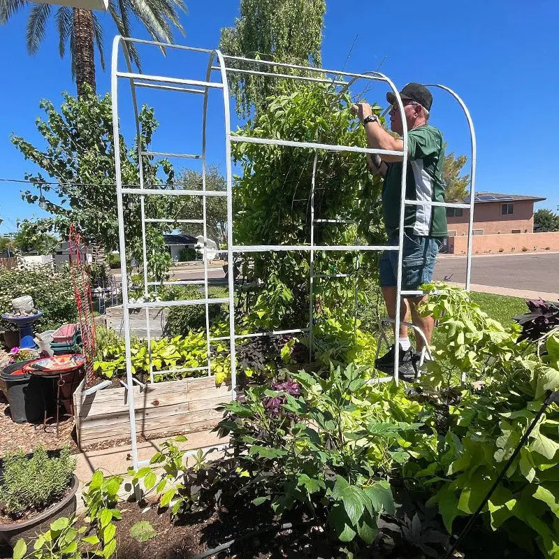 installing metal arched trellis-Vegega