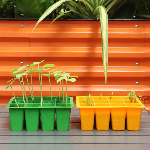 two seed starting trays