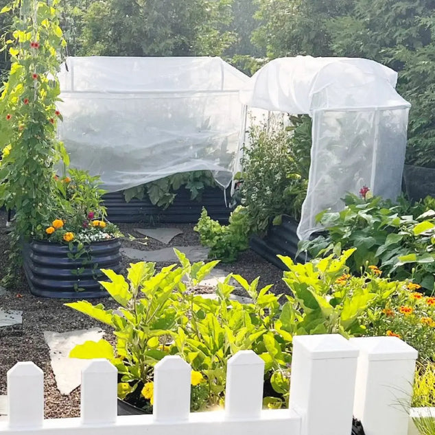 raised bed cover installed-Vegega