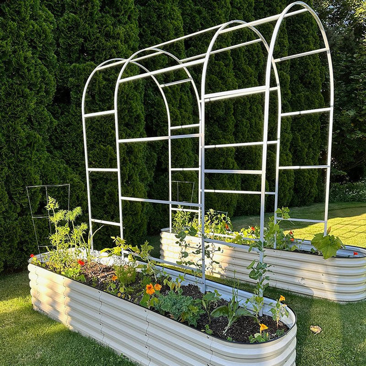 trellis arched for plants-Vegega