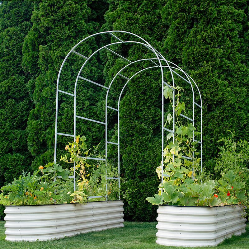 garden trellis arch installed on two metal raised beds-Vegega