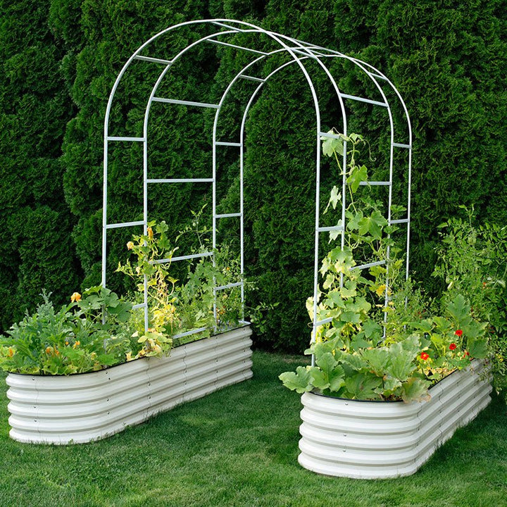 metal arch trellis installed on two metal beds-Vegega