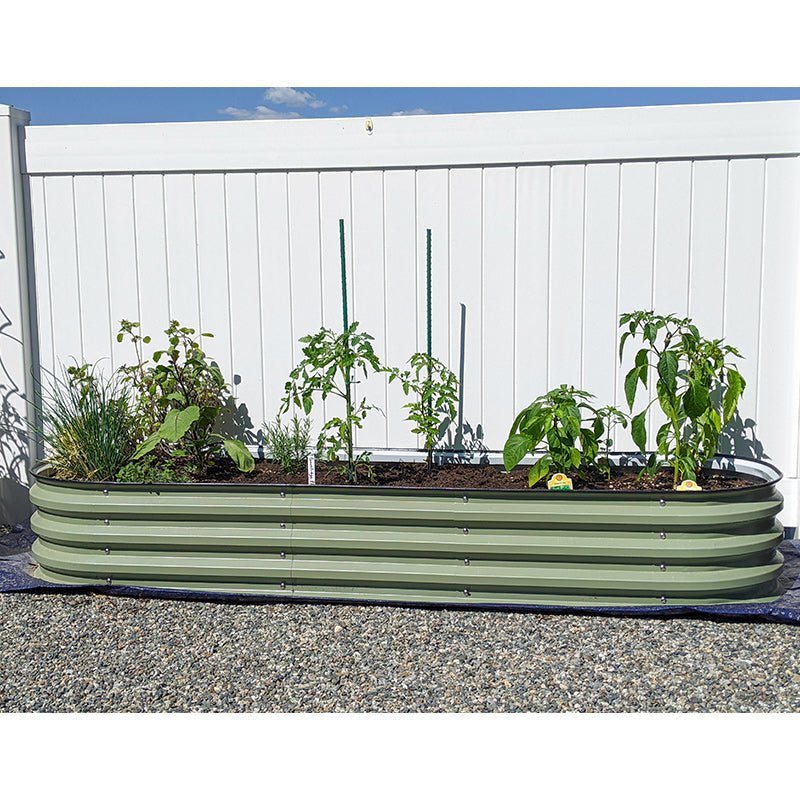 vegetable garden growing in raised beds-Vegega