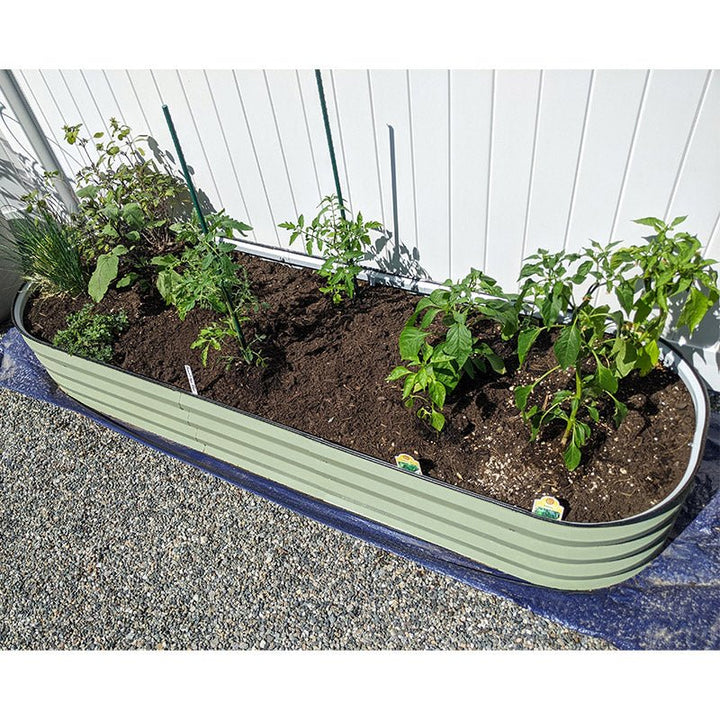 galvanized raised flower bed grow peppers-Vegega