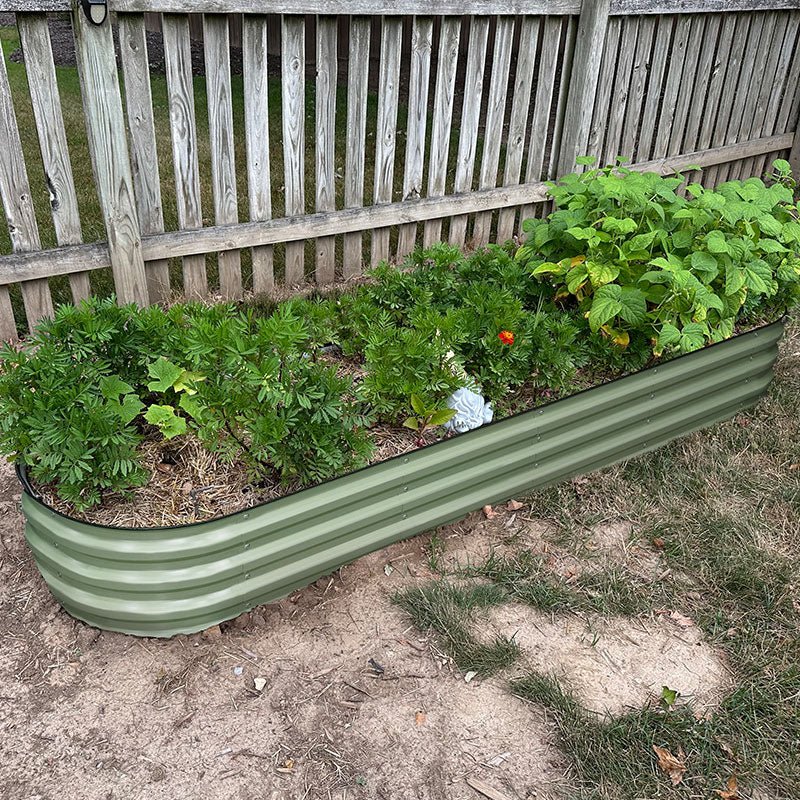 raised flower beds in garden growing plants-Vegega