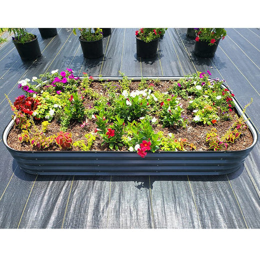 growing flowers in corrugated metal flower bed-Vegega