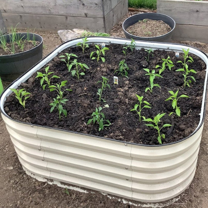 herb planter box growing pepper seedlings-Vegega