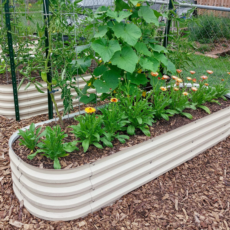 metal planter boxes in backyard-Vegega