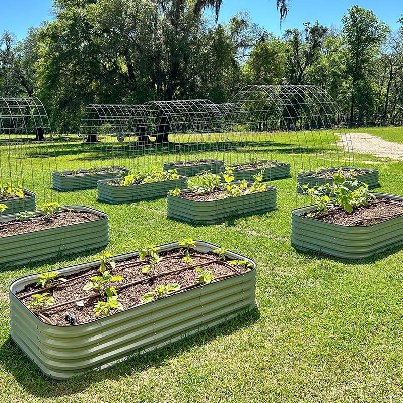 planter boxes raised diy plans-Vegega