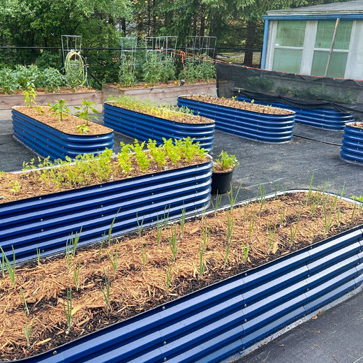 metal planter boxes layout in garden-Vegega