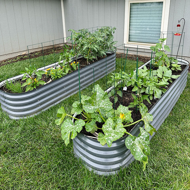 steel planter boxes growing plants-Vegega