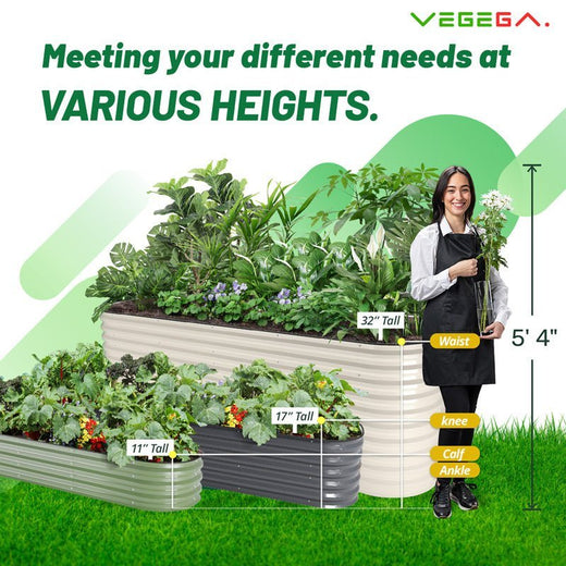 infographic of different heights of metal raised beds-vegega