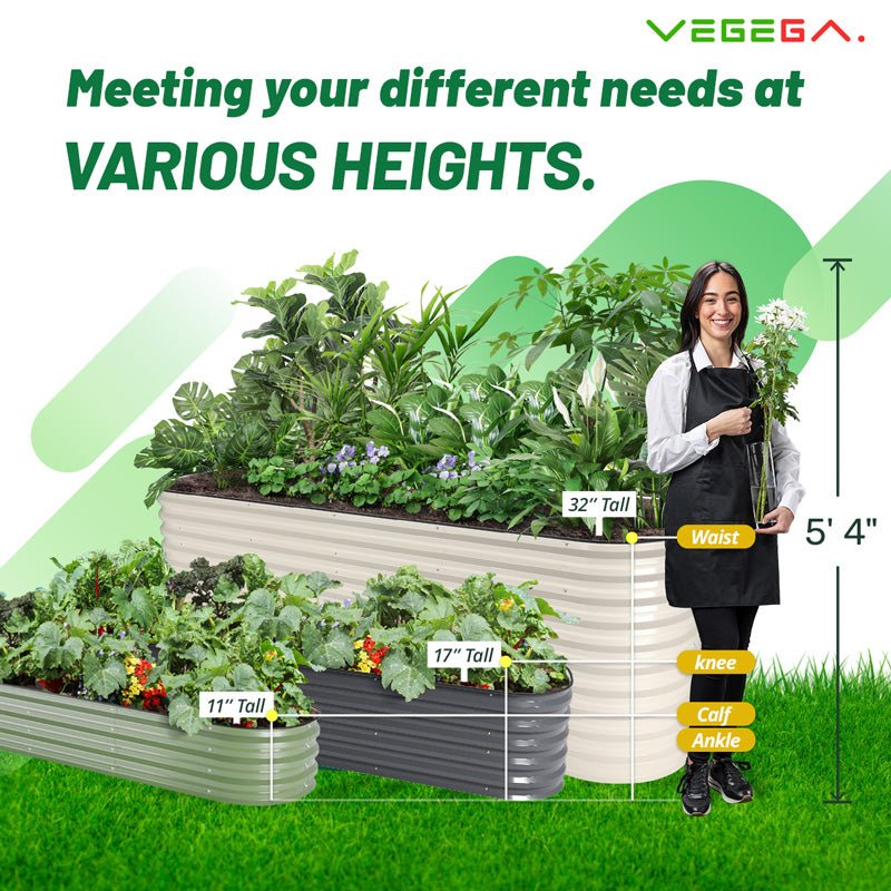 infographic of different heights of raised planters-Vegega