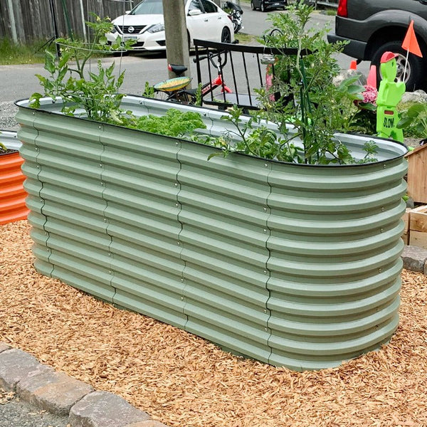 growing vegetables in a raised planter box