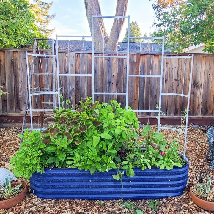 metal wall trellis-Vegega