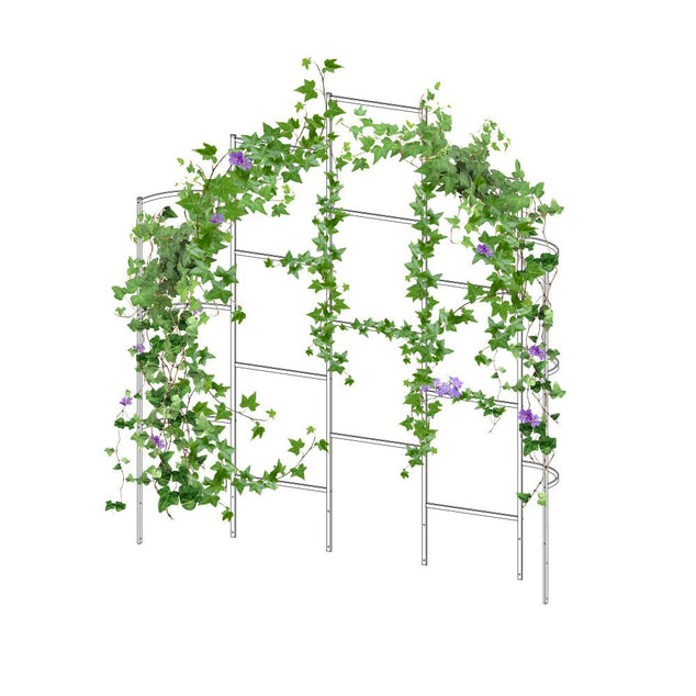 trellis wall-Vegega